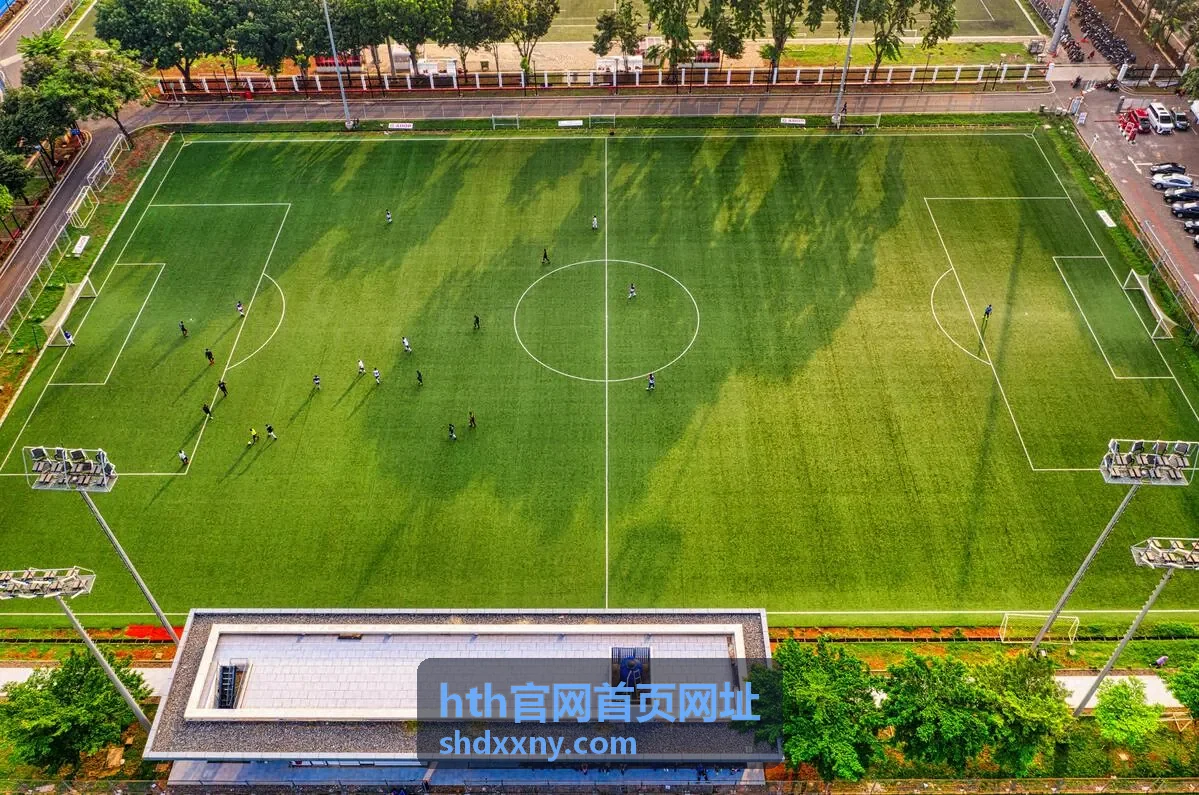 hth官网首页网址地址栏核对演示