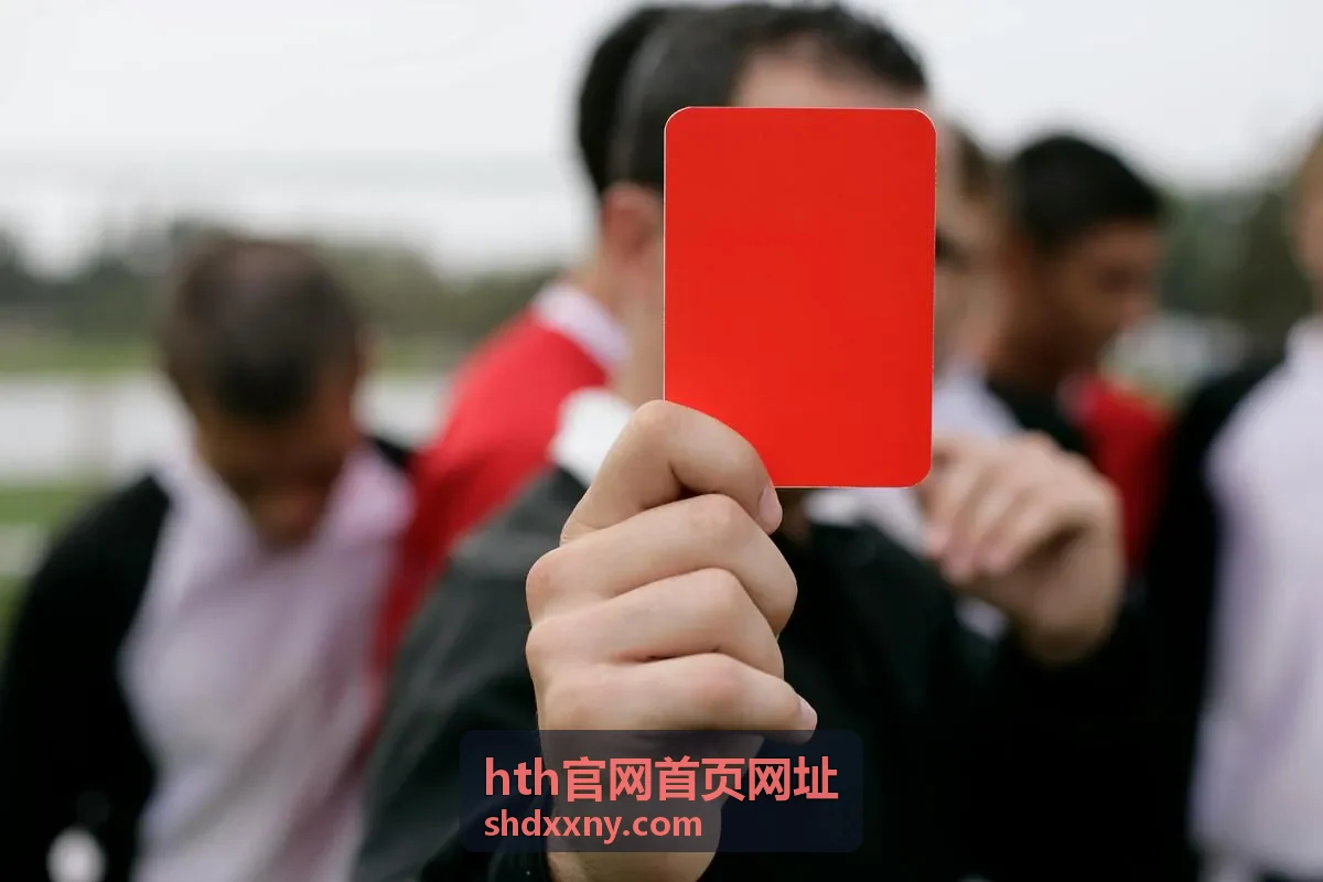 hth官网首页网址登录前的入口地址与页面核对示意
