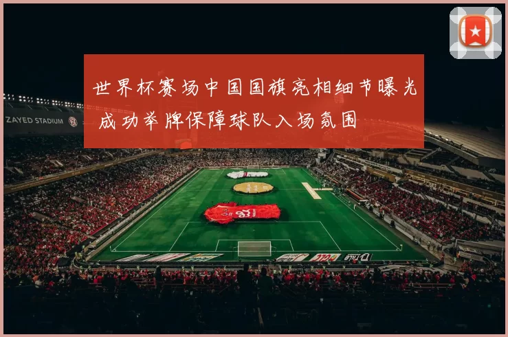 世界杯赛场中国国旗亮相细节曝光 成功举牌保障球队入场氛围