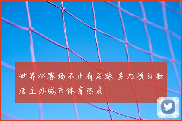 世界杯赛场不止有足球 多元项目激活主办城市体育热度