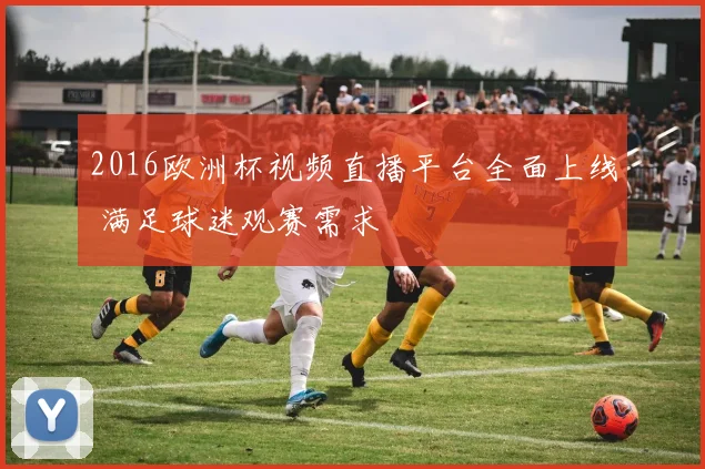 2016欧洲杯视频直播平台全面上线 满足球迷观赛需求