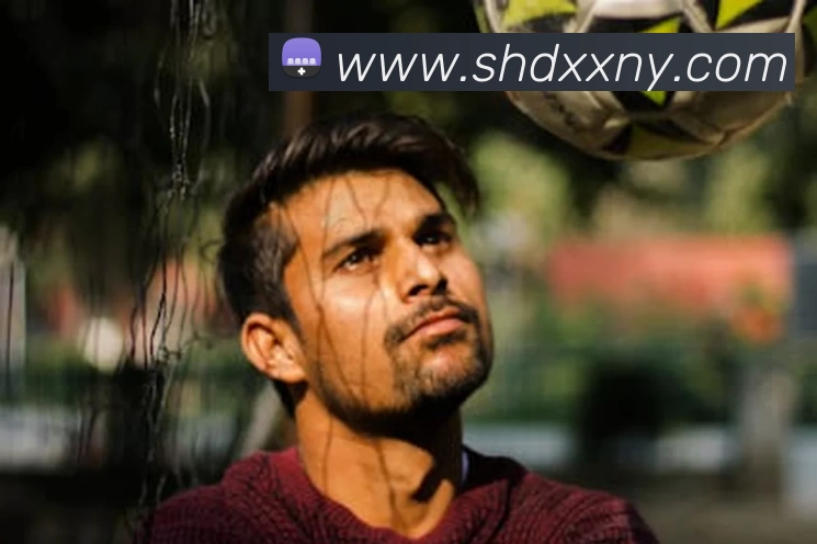 多媒体互动体验